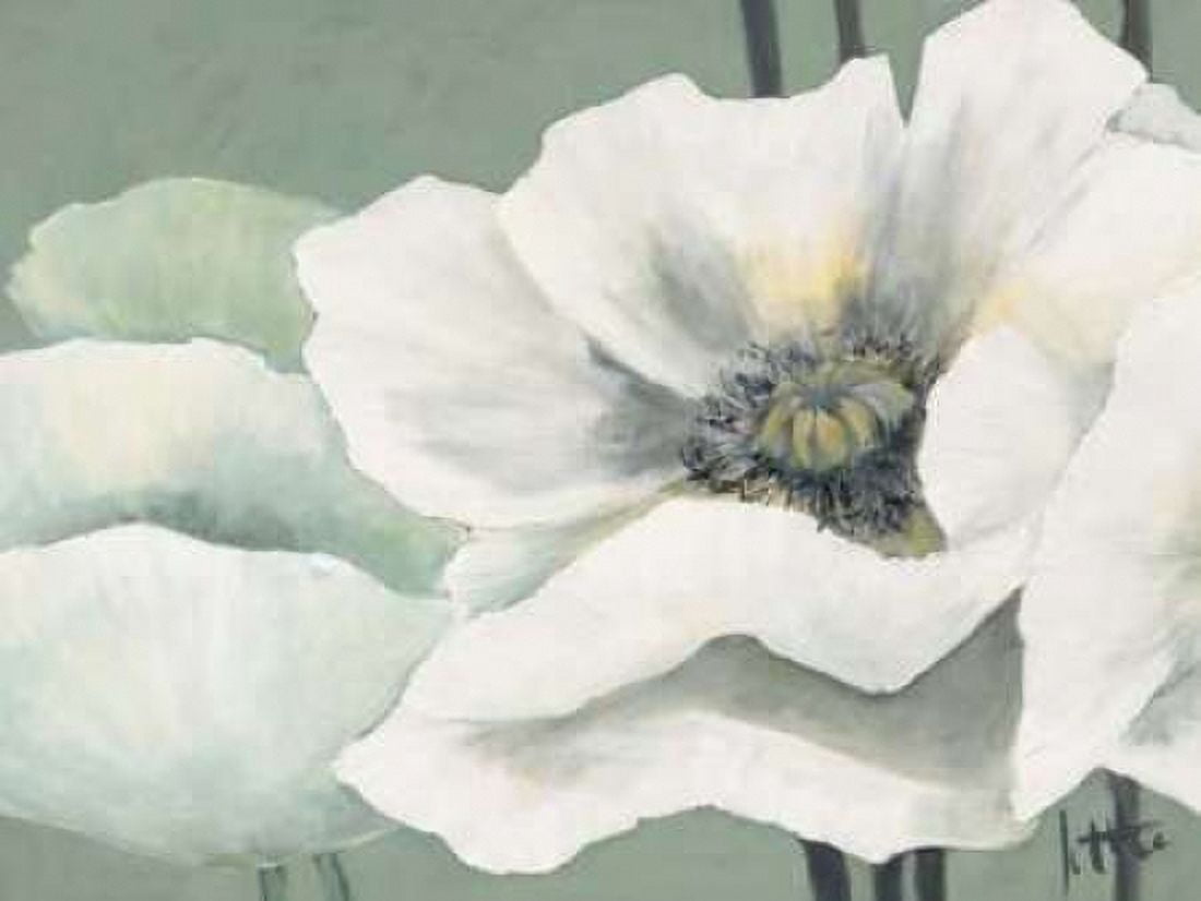 Poppy in Green II Canvas Art - Jettie Roseboom (22 x 28)