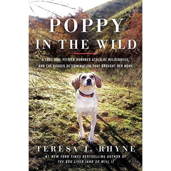 Pre-Owned Poppy in the Wild: A Lost Dog, Fifteen Hundred Acres of Wilderness, and the Dogged Determination That Brought Her Home (Paperback) 1639362053 9781639362059