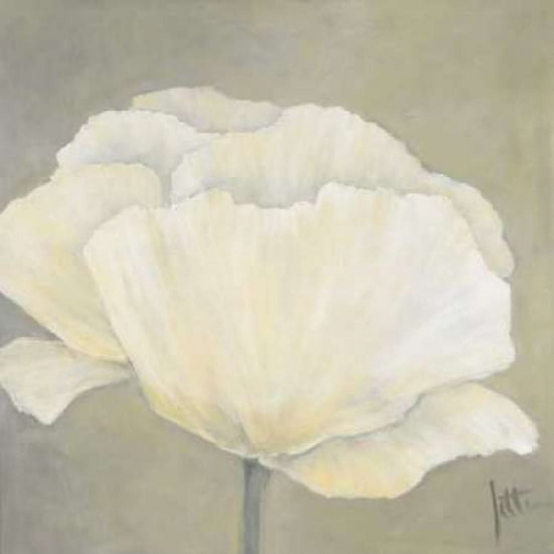 Poppy in white I Canvas Art - Jettie Roseboom (24 x 24)