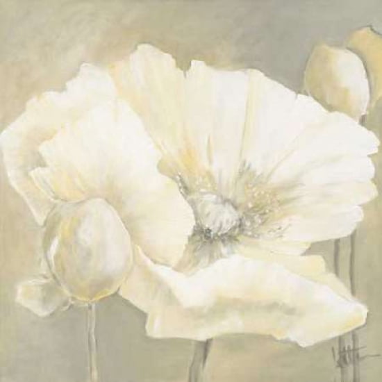 Poppy in white II Canvas Art - Jettie Roseboom (24 x 24)