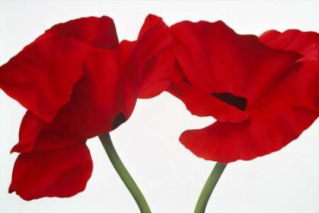 Poppy red Canvas Art - Yvonne Poelstra-Holzhaus (12 x 18)