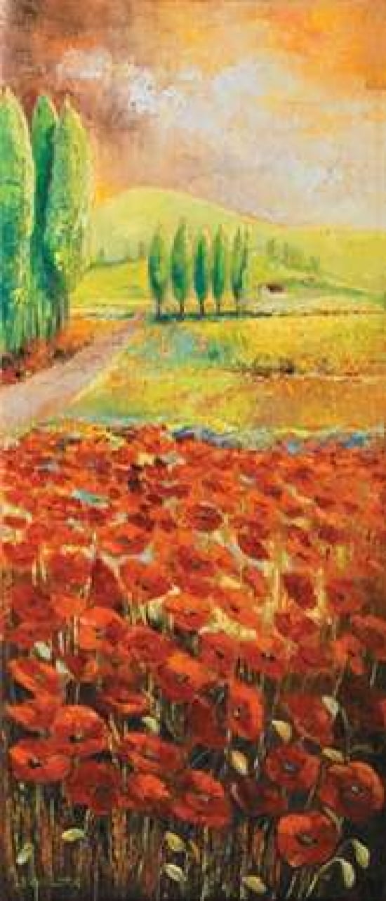 Poppyfield I Canvas Art - Lenna Lotus (10 x 20)
