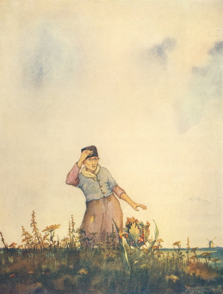 Poppyland 1914 Bronze-coloured Tulip Canvas Art - Leighton Pearce (18 x 24)