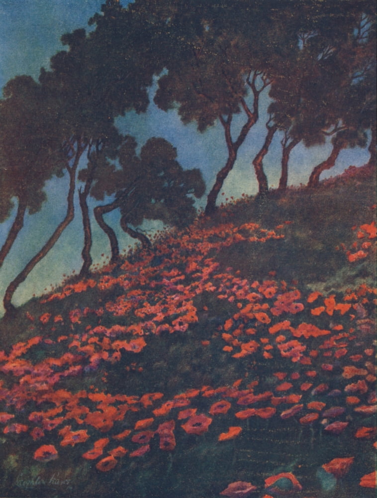 Poppyland 1914 Poppyland frontispiece Canvas Art - Leighton Pearce (18 x 24)