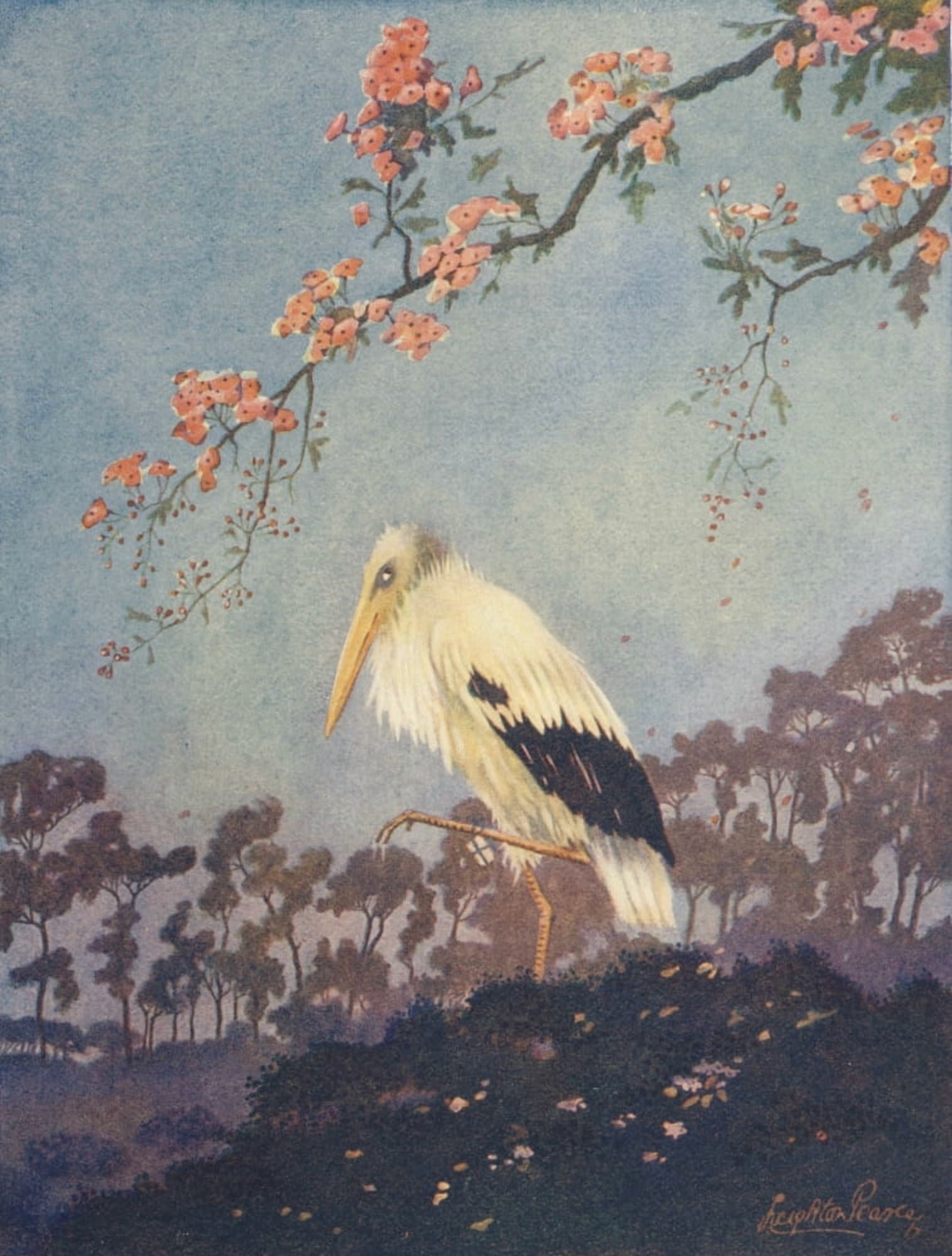 Poppyland 1914 The Old Stork Canvas Art - Leighton Pearce (18 x 24)