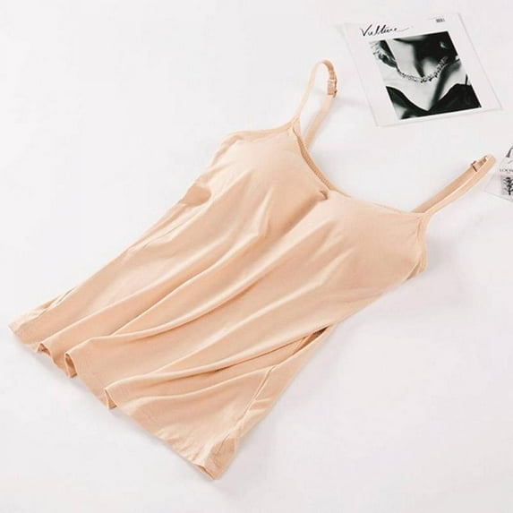 The Popular and Critical Bible Encyclopædia and Scriptural Dictionary, Fully Defining and Explaining All Religious Terms, Including Biographical, Geographical, Historical, Archæological and Doctrinal Themes : Superbly Illustrated With Over 600 Maps An (Hardcover)