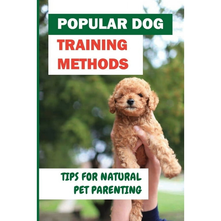 Website Development For Dog Trainers