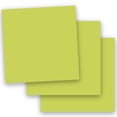 thumbnail image 1 of Popular GREEN APPLE 12X12 (Square) Paper 65C Lightweight Cardstock - 50 PK -- Econo 12-x-12 Square Card Stock Paper - Professional and DIY Projects, 1 of 1