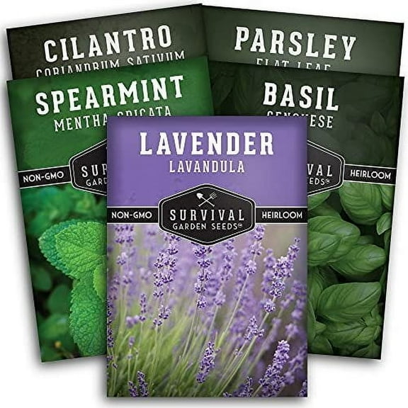 Herb Seeds 5 Variety Pack - Lavender Spearmint Basil Cilantro Parsley - Heirloom Full Sun