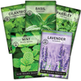 thumbnail image 1 of Popular Herb Garden Seed Collection - Non GMO Varieties - 5 Count, 1 of 5