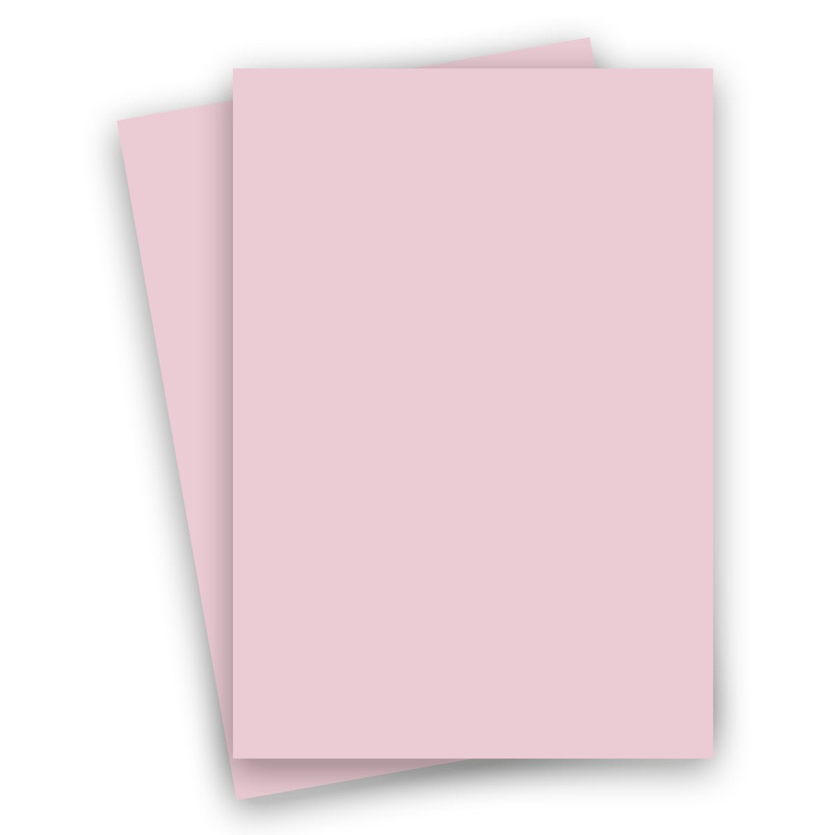 Popular PINK BUBBLEGUM 8.5X14 (Legal) Paper 65C Lightweight Cardstock - 250 PK -- Econo 8-1/2-x-14 LEGAL size Card Stock Paper - Business, Card Making, Designers, Professional and DIY