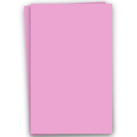 Popular PINK COTTON CANDY 12X18 Paper 28T Lightweight Multi-use - 250 PK -- Econo 12-x-18 Large size Everyday Paper - Professionals, Designers, Crafters and DIY Projects