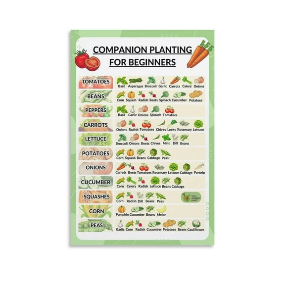 Popular Science Posters Companion Planting for Beginners Companion Planting Poste