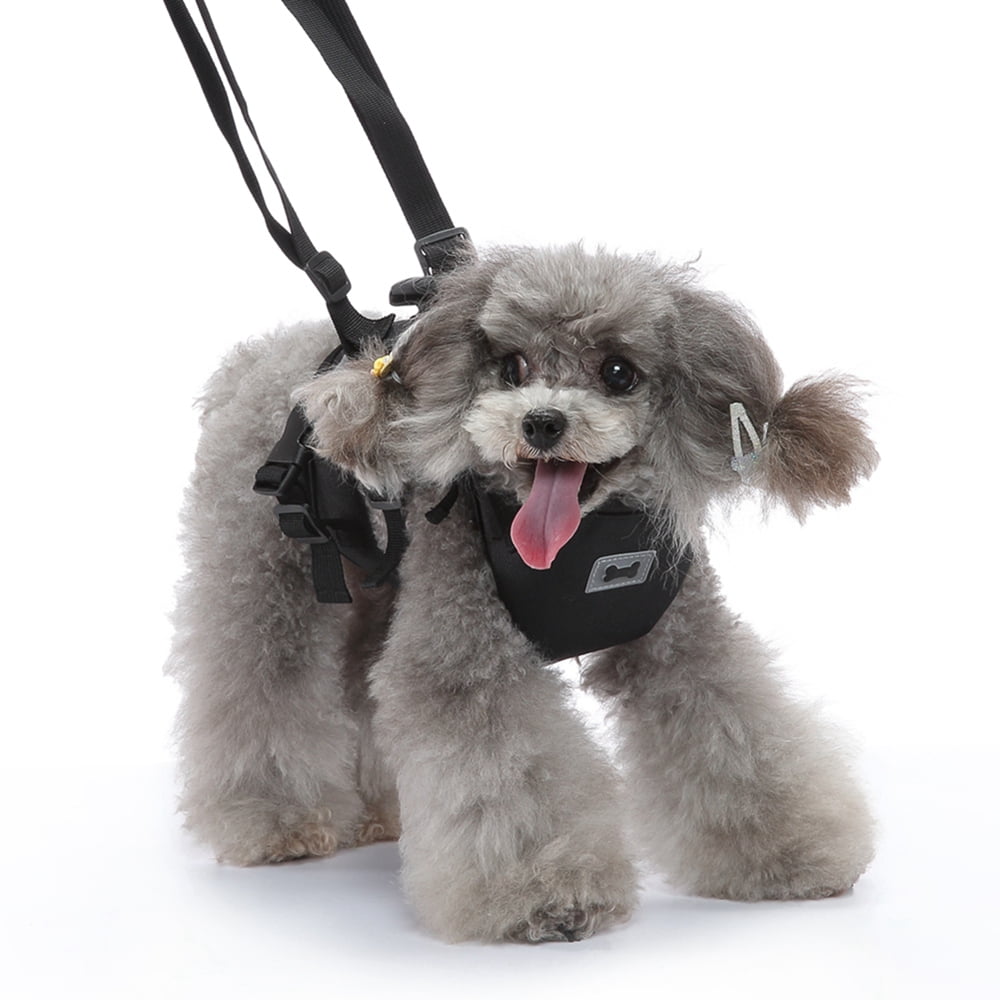 Popvcly Dog Body Support Harness Lifting Aid with Handle and Shoulder Strap Great for Pet Mobility and Older Dogs Comfortable Breathable Material Black M Walmart