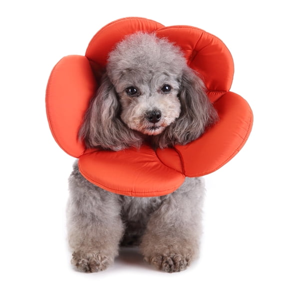 Popvcly Dog Cat Recovery Collar Cute Flower Shape Anti Bite Neck Collars Cones with Adjustable Straps, Elizabethan Collars for Dogs Cats