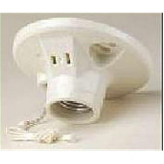 Porcelain Grounded Pull Chain Lampholders & Side Outl