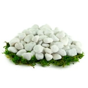 Porcelain White Pebbles | Garden & Potted Plants | 20 lbs, 2"-3"