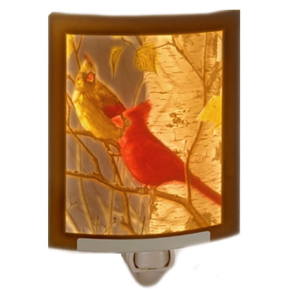 Porcelain With Color Night Light