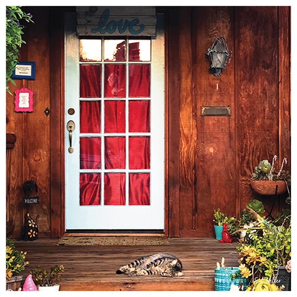 Porch Cat By Photographer Steven A. Heller - 30"X30" Canvas