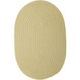 thumbnail image 1 of Porch & Den  Oakland Reversible Indoor/ Outdoor Area Rug Celery 2' x 3' Oval 2' x 3' Living Room,Kitchen,Patio N/A Oval Casual,Cabin & Lodge, 1 of 5