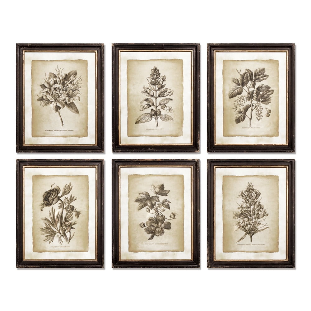 Set of 6 Vintage Botanical Framed Prints with Black and Gold Accents