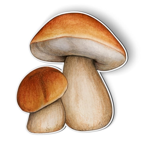 Porcini Mushrooms King Bolete - 5.5" Magnet for Car Locker Refrigerator