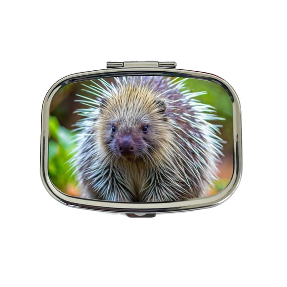 Porcupine Small Travel Handbag Pill Box Case