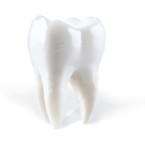 Porij - Teething - Music & Performance - CD