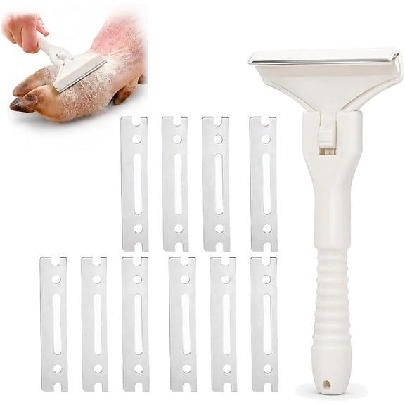 Pork Skin Meat Scraper, Handheld Fat Trimmer for Beef Pork, Reusable Kitchen Tool to Remove Hair from Pork Feet Lamb Beef (2 inch, 1pc)