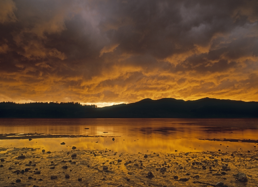 Porpoise Bay Provincial Park Sechelt Sunshine Coast British Columbia Canada Canvas Art - Darwin Wiggett Design Pics (32 x 22)