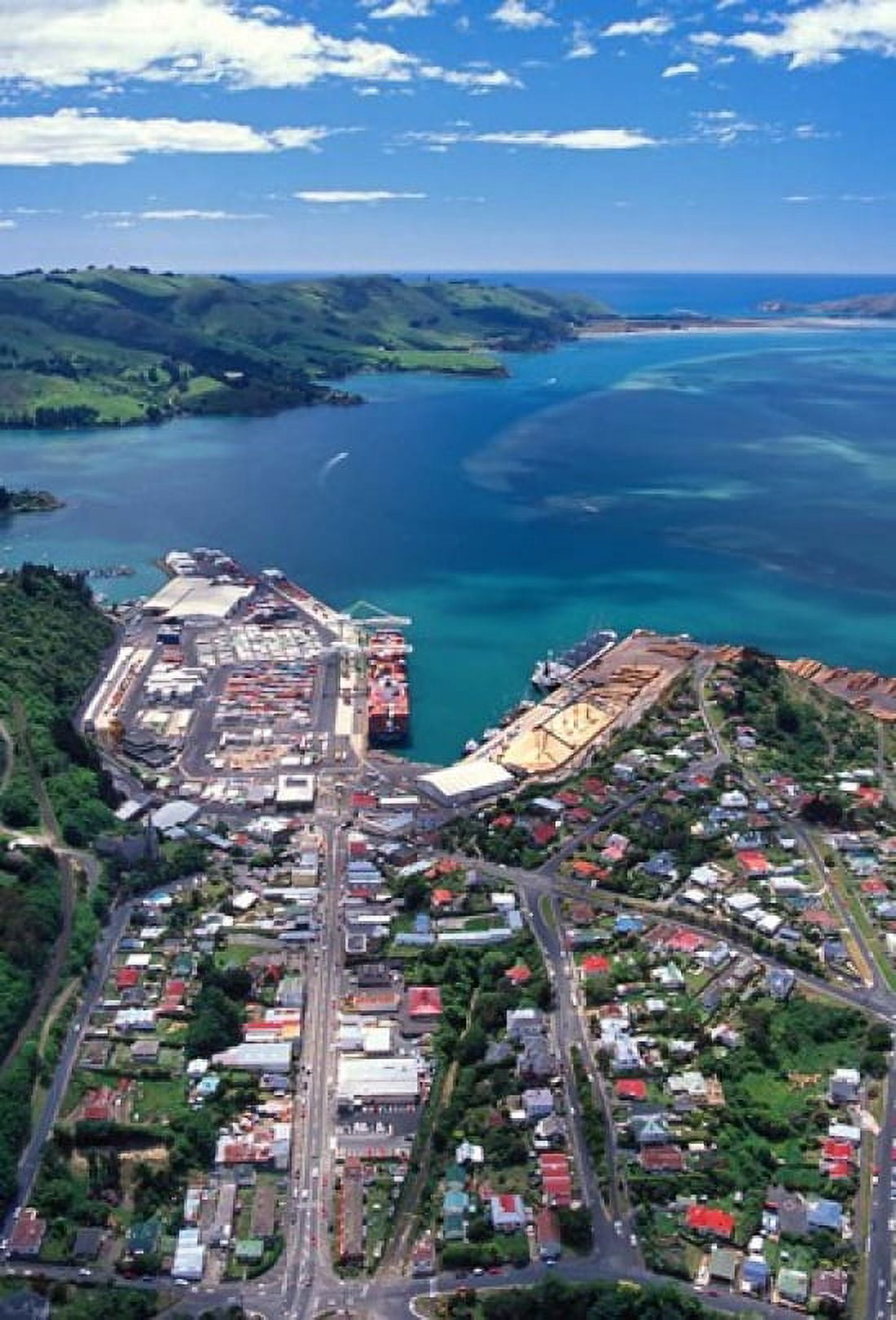 Port Chalmers and Otago Harbor Dunedin New Zealand Canvas Art - David Wall DanitaDelimont (25 x 36)