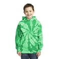 thumbnail image 1 of Port & Co Teen Unisex Regular Dye Long Sleeves Sweatshirt Kelly X-Large, 1 of 6