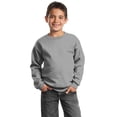 thumbnail image 1 of Port & Co Teen Unisex Regular Plain Long Sleeves Sweatshirt Ath. Heather Large, 1 of 5