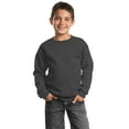 thumbnail image 1 of Port & Co Teen Unisex Regular Plain Long Sleeves Sweatshirt Charcoal Large, 1 of 5