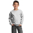 thumbnail image 1 of Port & Company Boys' Crewneck Sweatshirt, 1 of 2