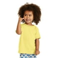 thumbnail image 1 of Port & Company Toddler Core Cotton Tee. CAR54T, 1 of 4