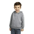 thumbnail image 1 of Port & Company Toddler Core Fleece Pullover Hooded Sweatshirt. CAR78TH, 1 of 3
