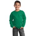 thumbnail image 1 of Port & Company - Youth Core Fleece Crewneck Sweatshirt. Pc90y, 1 of 1