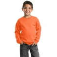 thumbnail image 1 of Port & Company - Youth Core Fleece Crewneck Sweatshirt, 1 of 1