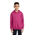 thumbnail image 1 of Port & Company - Youth Core Fleece Pullover Hooded Sweatshirt, 1 of 5