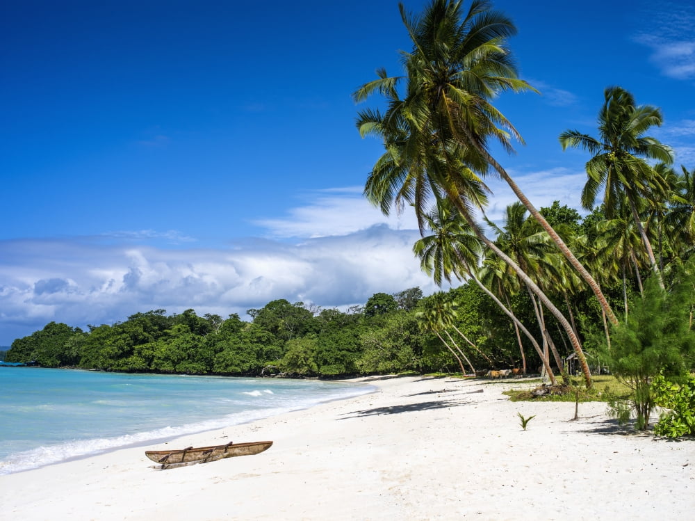 Port Resolution Santo Island Vanuatu Canvas Art - David Kirkland Design Pics (34 x 26)