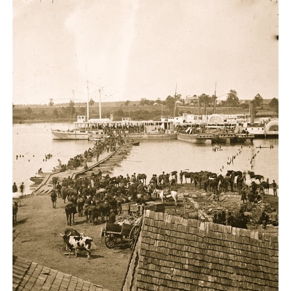 Port Royal Va. Transports being loaded from a pontoon bridge during the evacuation Poster Print