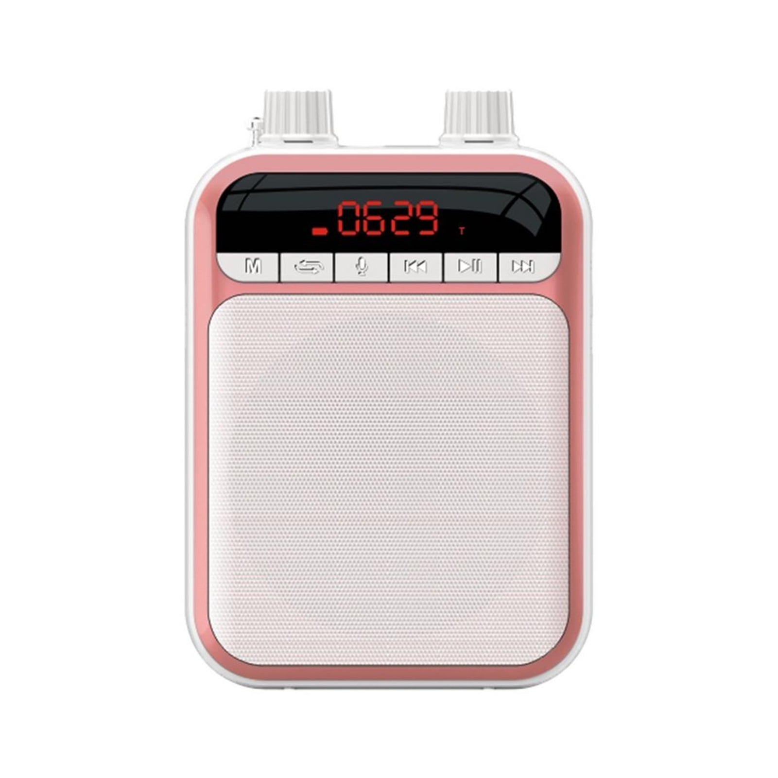 Portable 5W FM Recording Voice Amplifier Teacher Microphone Bluetooth Speaker With Mp3 Player FM Radio Recorder ,Easy to Operate