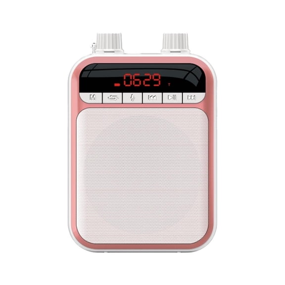 Portable 5W FM Recording Voice Amplifier Teacher Microphone Bluetooth Speaker With Mp3 Player FM Radio Recorder ,Easy to Operate