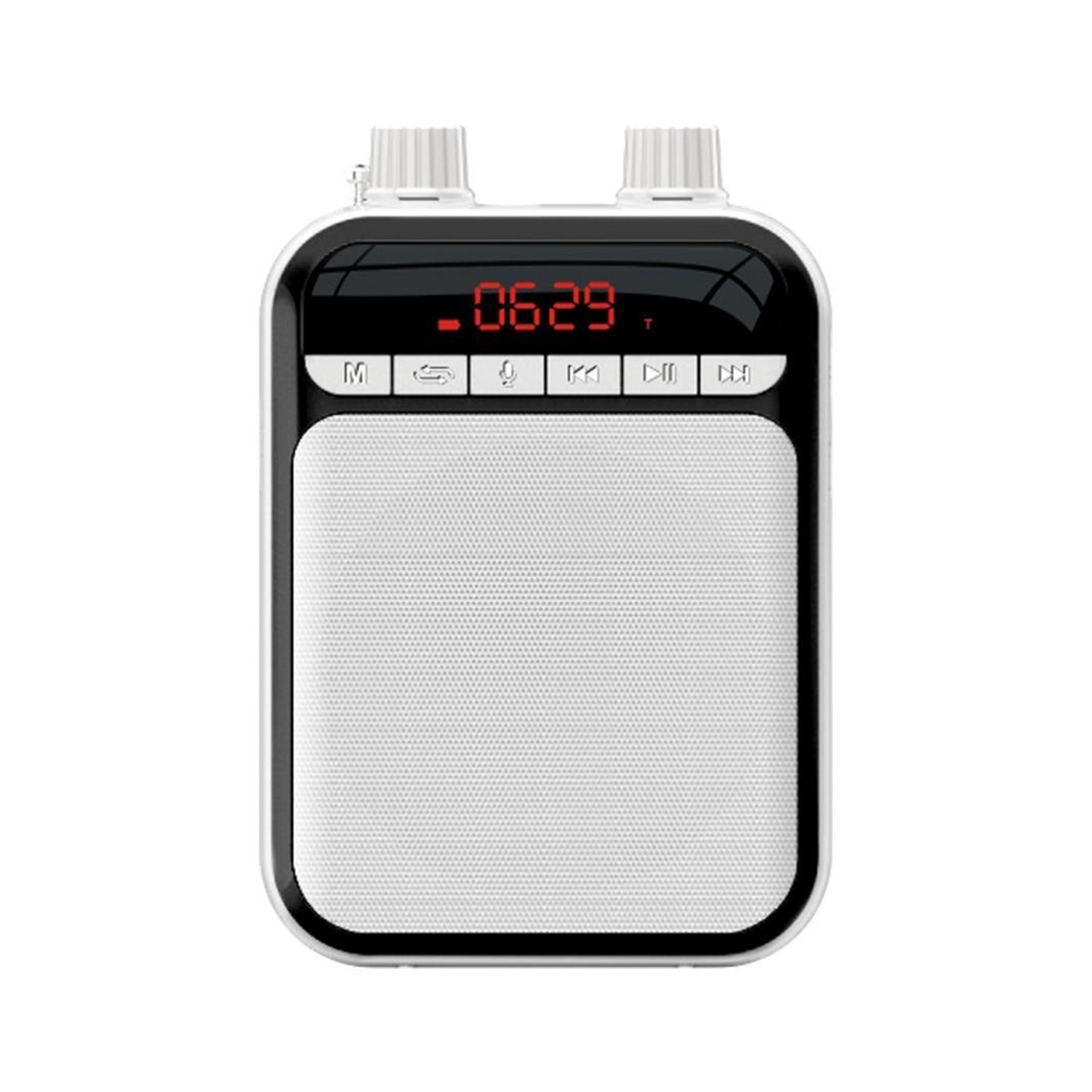 Portable 5W FM Recording Voice Amplifier Teacher Microphone Bluetooth Speaker With Mp3 Player FM Radio Recorder ,Easy to Operate