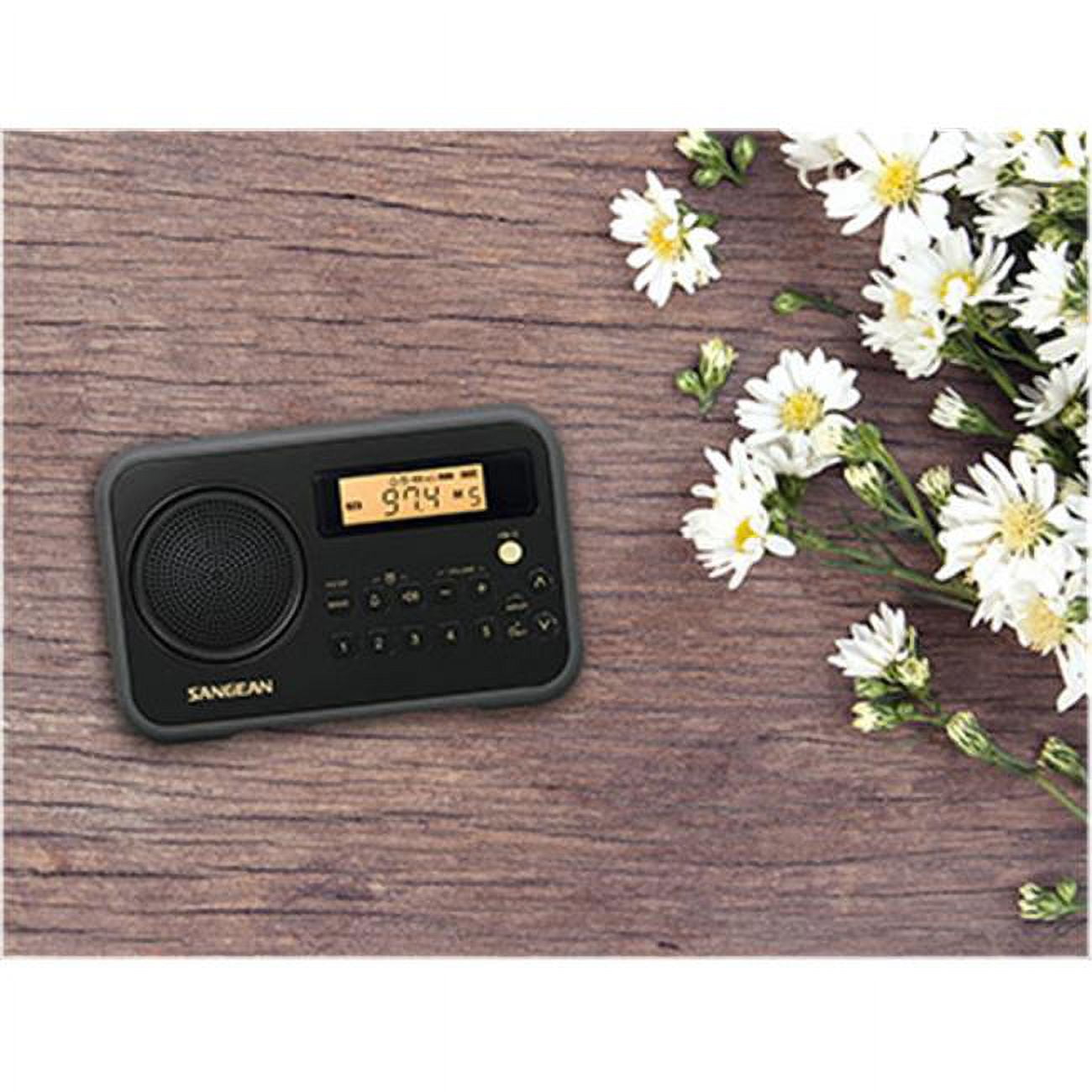 Portable AM & FM Radio with Digital Clock, Black - Walmart.com