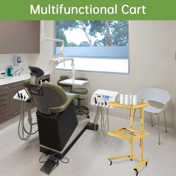 Portable Beauty Hair Cart with 2 Shelves, Stainless Steel Foldable Trolley for Salon, Office, Classroom