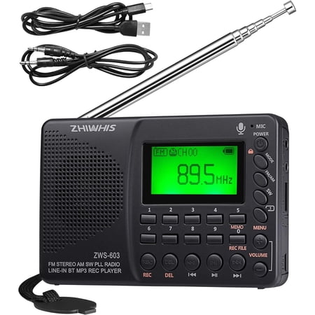 Portable Bluetooth Radio, FM AM Shortwave Radios with Sleep Timer and Preset Function, Rechargeable Digital Recorder, Stereo MP3 Player with Lyric Display, Support Micro SD Card and AUX