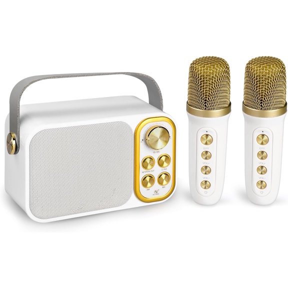 Portable Bluetooth karaoke speaker, equipped with 2 wireless microphones, all-in-one KTV speaker, suitable for TV, family gatherings, outdoor occasions