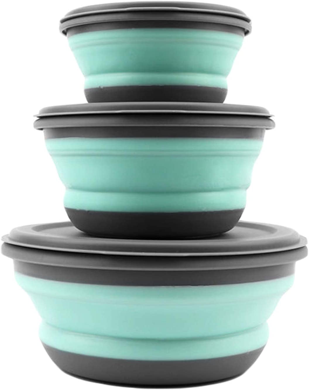 Collapsible Bowl Set - WplusWNY